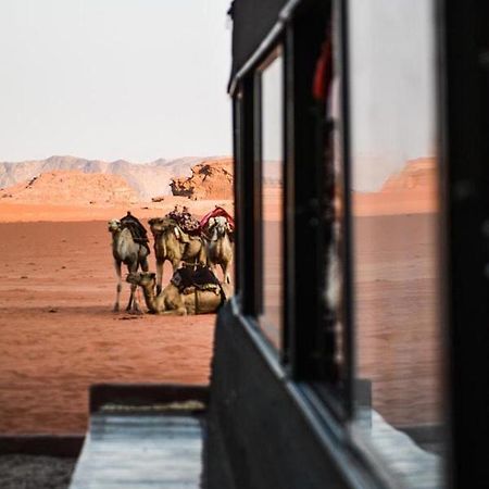 Desert Shine Camp 瓦迪拉姆 外观 照片