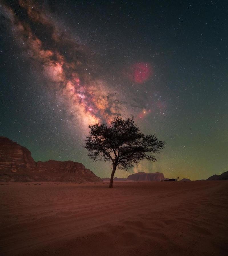 Desert Shine Camp 瓦迪拉姆 外观 照片