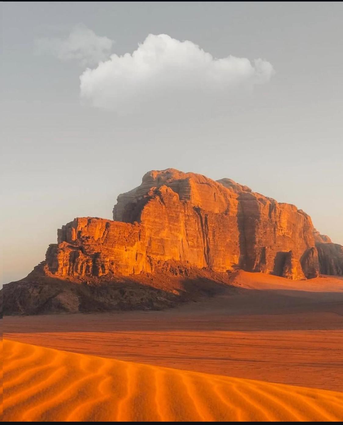 Desert Shine Camp 瓦迪拉姆 外观 照片